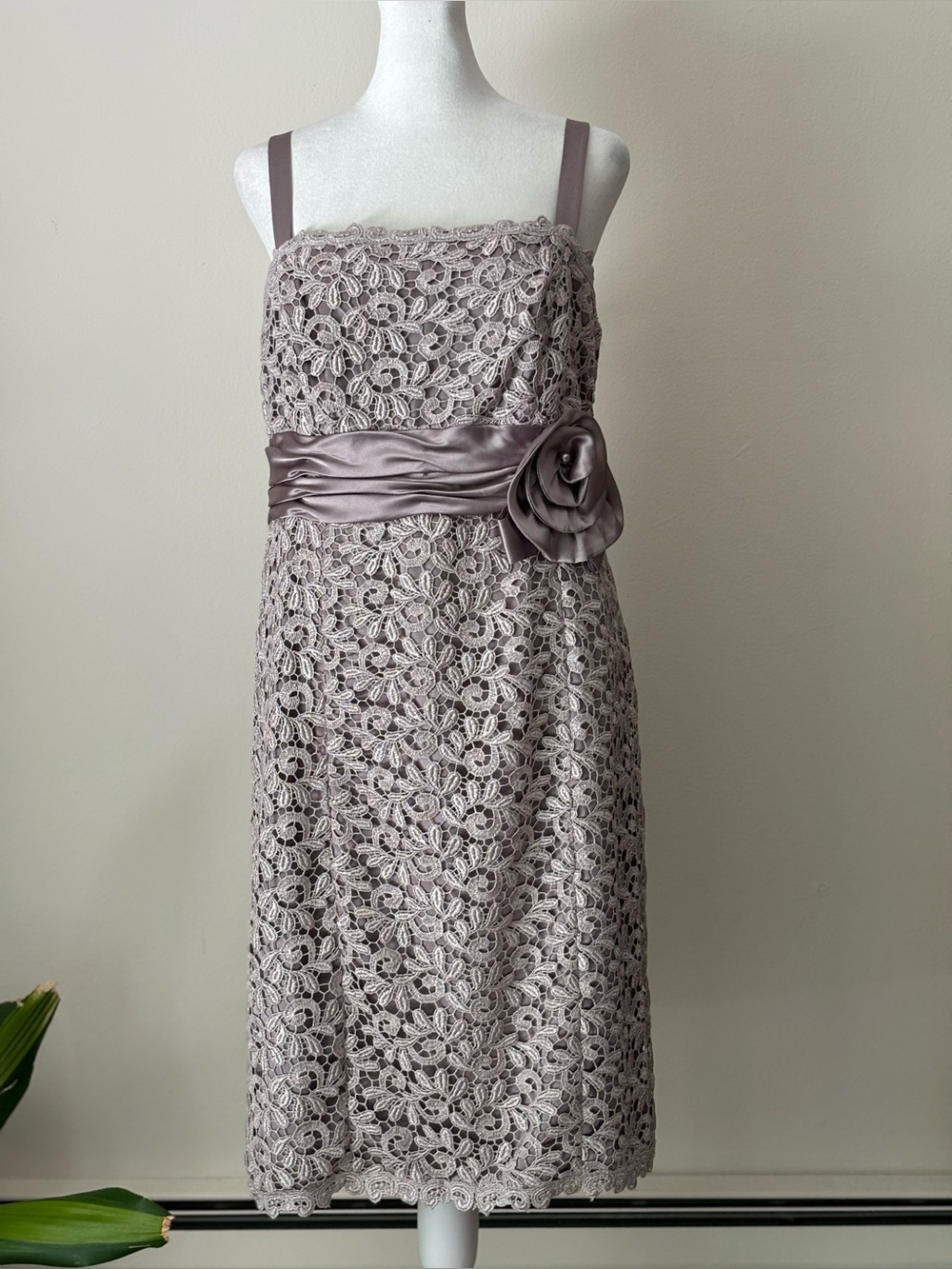 R&M Richards Dusty Mauve Lace-Trim Dress